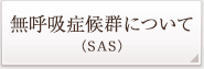 SASについて