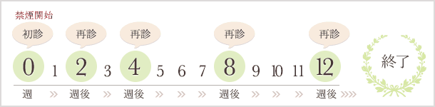 スケジュール表